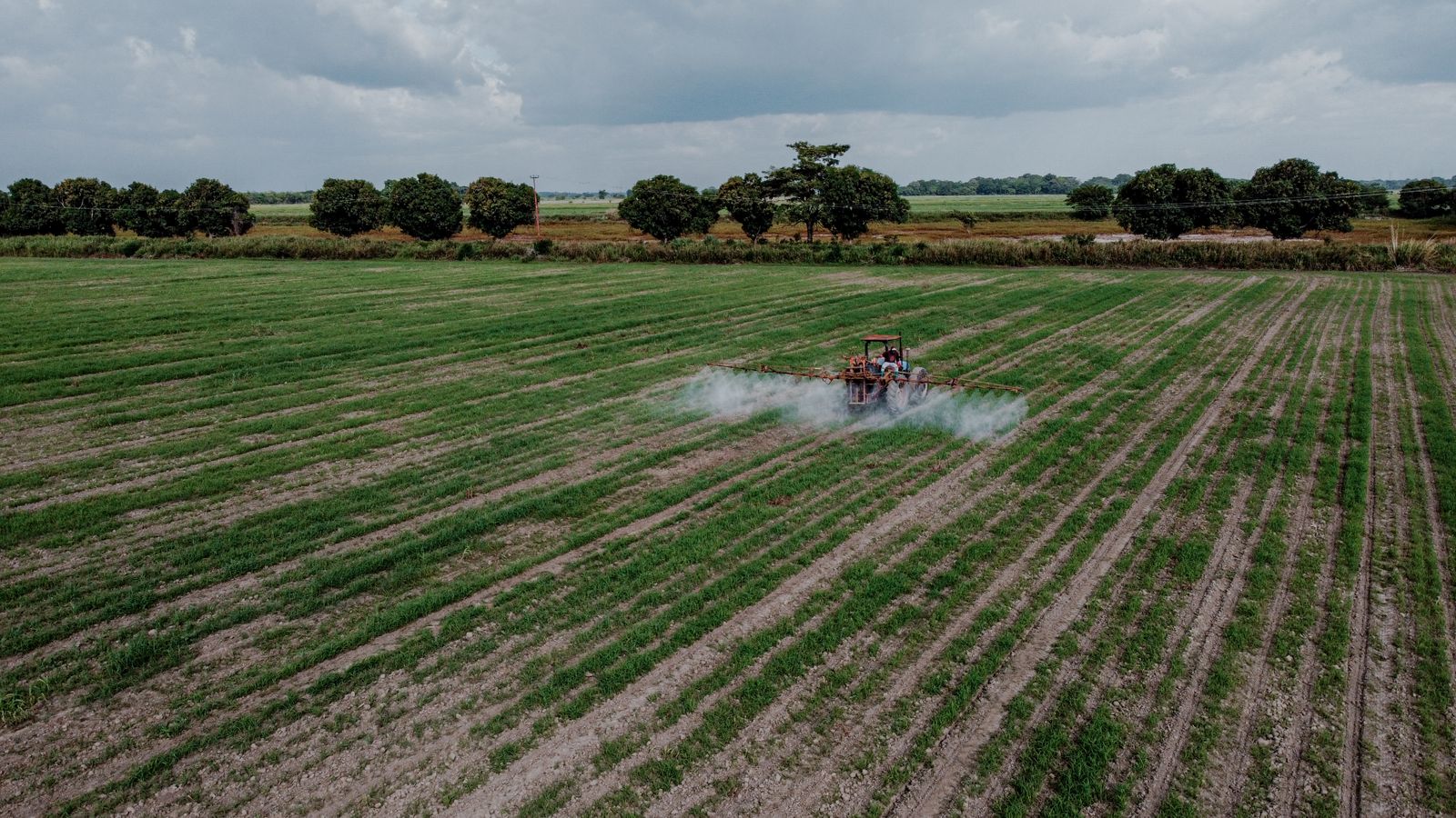 Crop Spraying