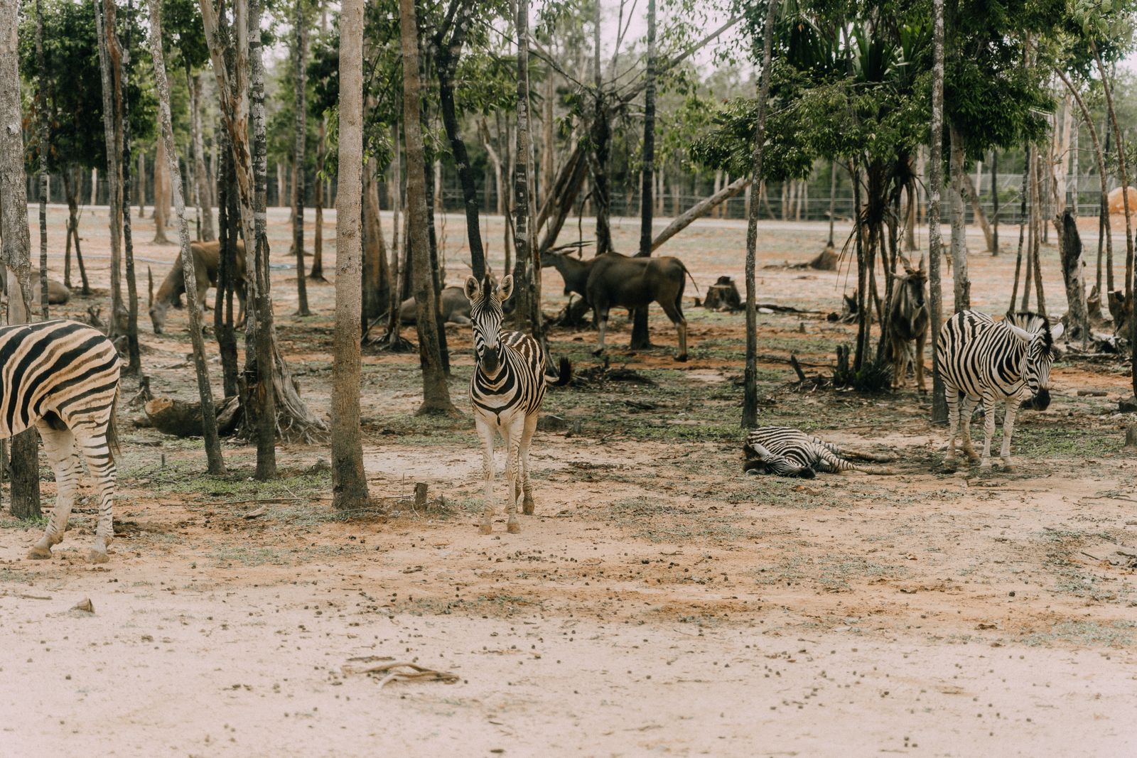 Nature Reserves